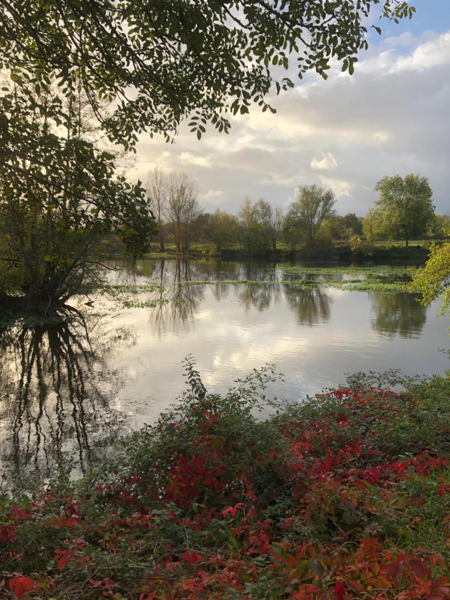 Le Numero 15 Saint-Seurin-sur-l'Isle Bagian luar foto